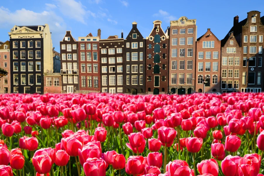 Stadsverhalen: intrigerende inzichten over wonen in Amsterdam