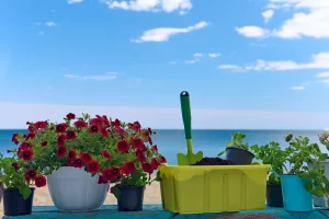 Ontdek de charme van buiten leven met tuinaccessoires