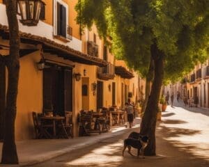 Hoe de Spaanse Siësta het Dagelijks Leven Beïnvloedt