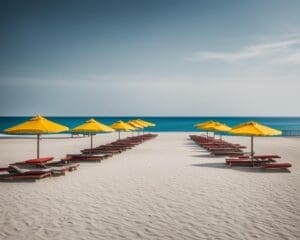 wat als je vakantiedagen niet opneemt