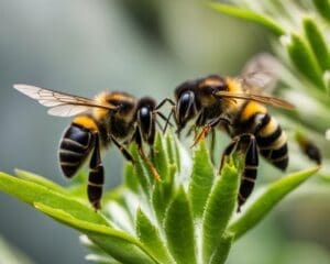 wat te doen tegen dondervliegjes