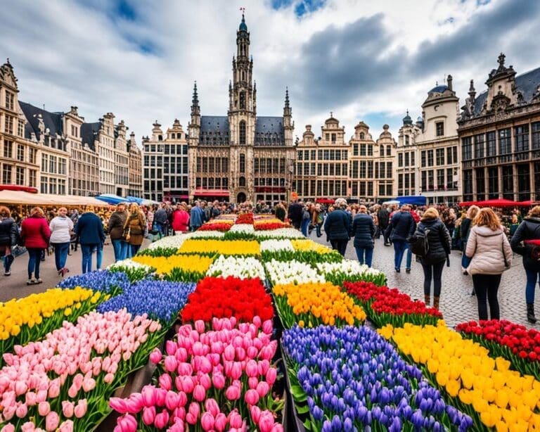 Op zoek naar de mooiste bloemenmarkten in Brussel?