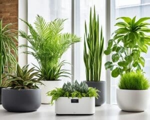 Welke Kamerplanten Verbeteren de Luchtkwaliteit?