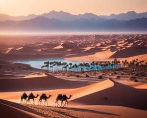 Verken de Mystieke Landschappen van Jordanië