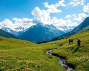 Bewonder de Alpenweides van Zwitserland