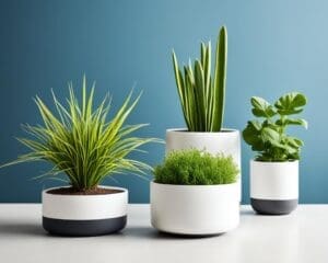 Bloempotten: Tips voor stijl en functionaliteit