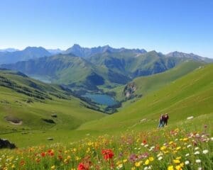 Ontdek de groene valleien van de Pyreneeën