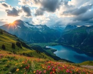 Ontdek de natuur van de Alpen, Zwitserland