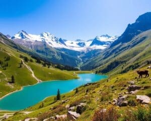 Ontdek de natuur van de Hohe Tauern, Oostenrijk