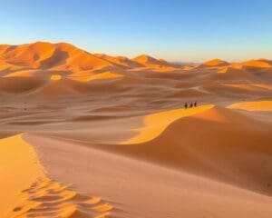 Ontdek de zandduinen van de Namib-woestijn