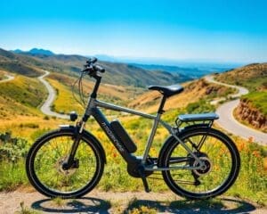 Elektrische fietsen: Voor lange afstanden en sport
