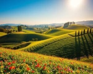 Natuur bewonderen in de weelderige valleien van Toscane