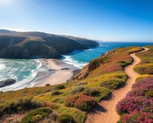 Natuurwandelingen langs de schilderachtige kust van Californië