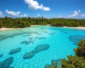 Stranden van de Bahama's: verken de verborgen baaien en lagunes