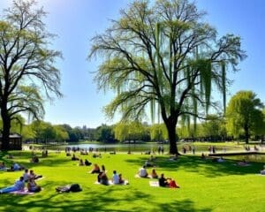 Vondelpark: Picknicken en relaxen in het grootste park van Amsterdam