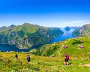 Bergen: de perfecte plek voor natuurliefhebbers en avonturiers