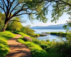 Gezondheidsdoelen behalen zonder druk