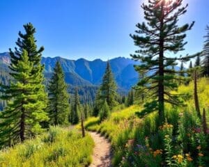 Denver: Wat zijn de mooiste wandelpaden?