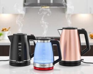 Elektrische waterkokers met temperatuurcontrole