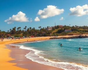 San Diego: Hoe ontdek je de Californische stranden?