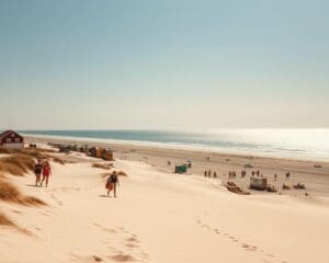 Callantsoog – Wat maakt dit dorp een topbestemming voor strandliefhebbers?