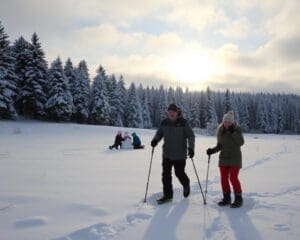 Hoe blijf je actief tijdens de Belgische winter?