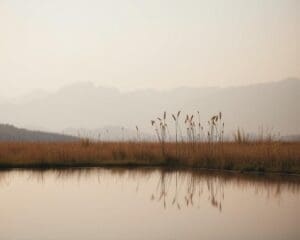 Waarom kiezen voor stilte als luxe?