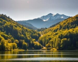 Wat zijn de mooiste plekken voor een dag in de natuur?
