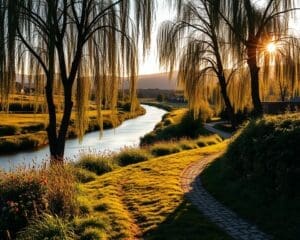 Waarom voelt een wandeling door de Leiestreek zo rustgevend?