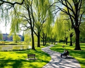 Welke parken zijn ideaal voor een rustige namiddag?