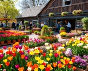 Waarom is een tuincentrum in Brabant jouw startpunt?
