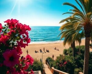 Wat maakt de Côte d’Azur ideaal voor zon?